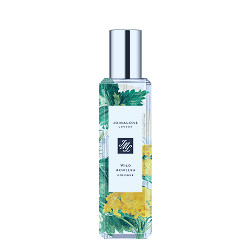 Wild Achillea Cologne | Jo Malone London | United States E-commerce Site -  English